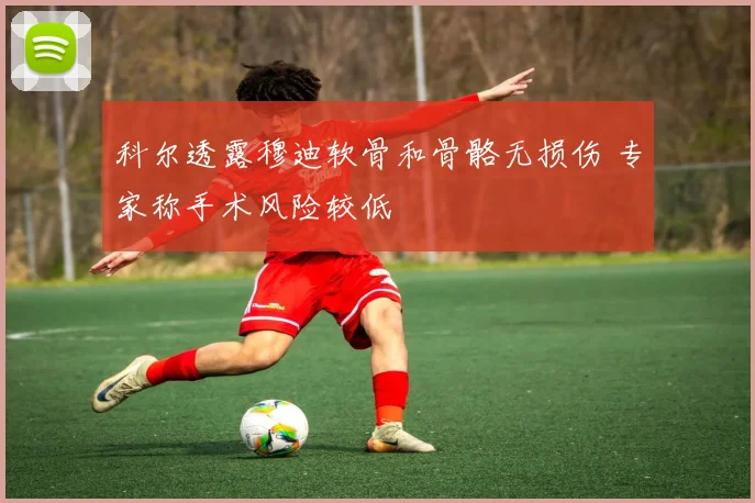 科尔透露穆迪软骨和骨骼无损伤 专家称手术风险较低