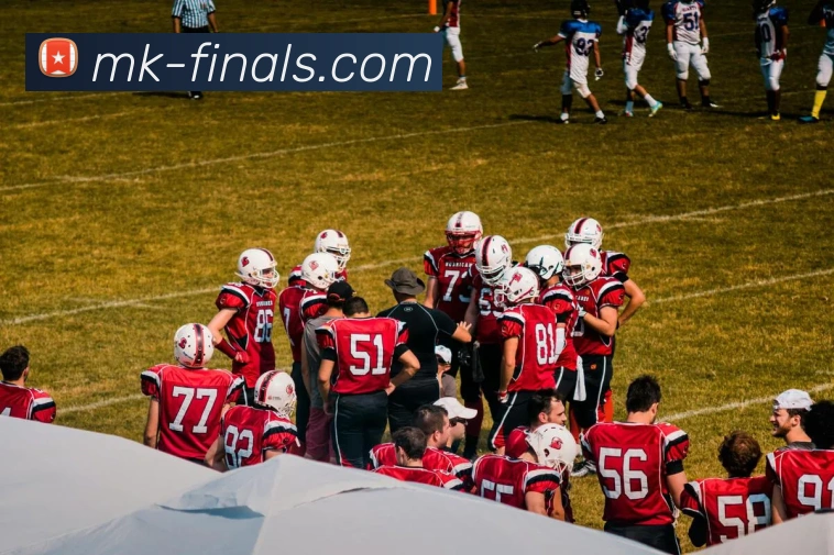 MK体育平台展示图